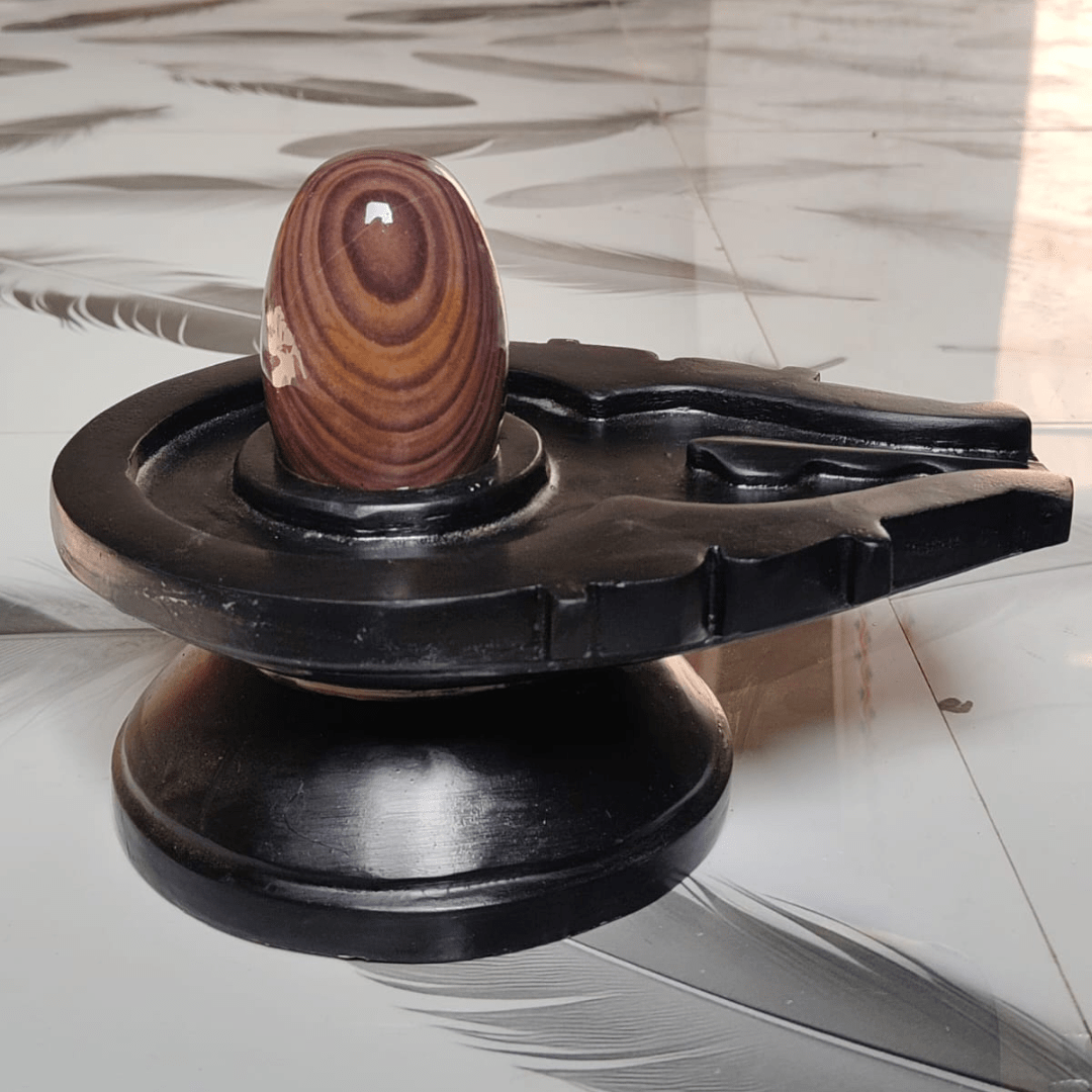 5” Premium Designer Narmadeshwar Shivling with 10” Black Jaladhari Base – Natural Circular Ring Stone Finish