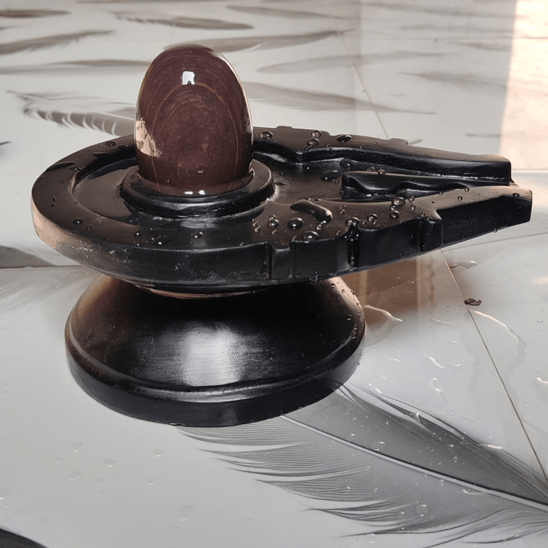 5” Premium Dark Brown Narmadeshwar Shivling with 10” Black Jaladhari Base – Natural Stone Ring Finish