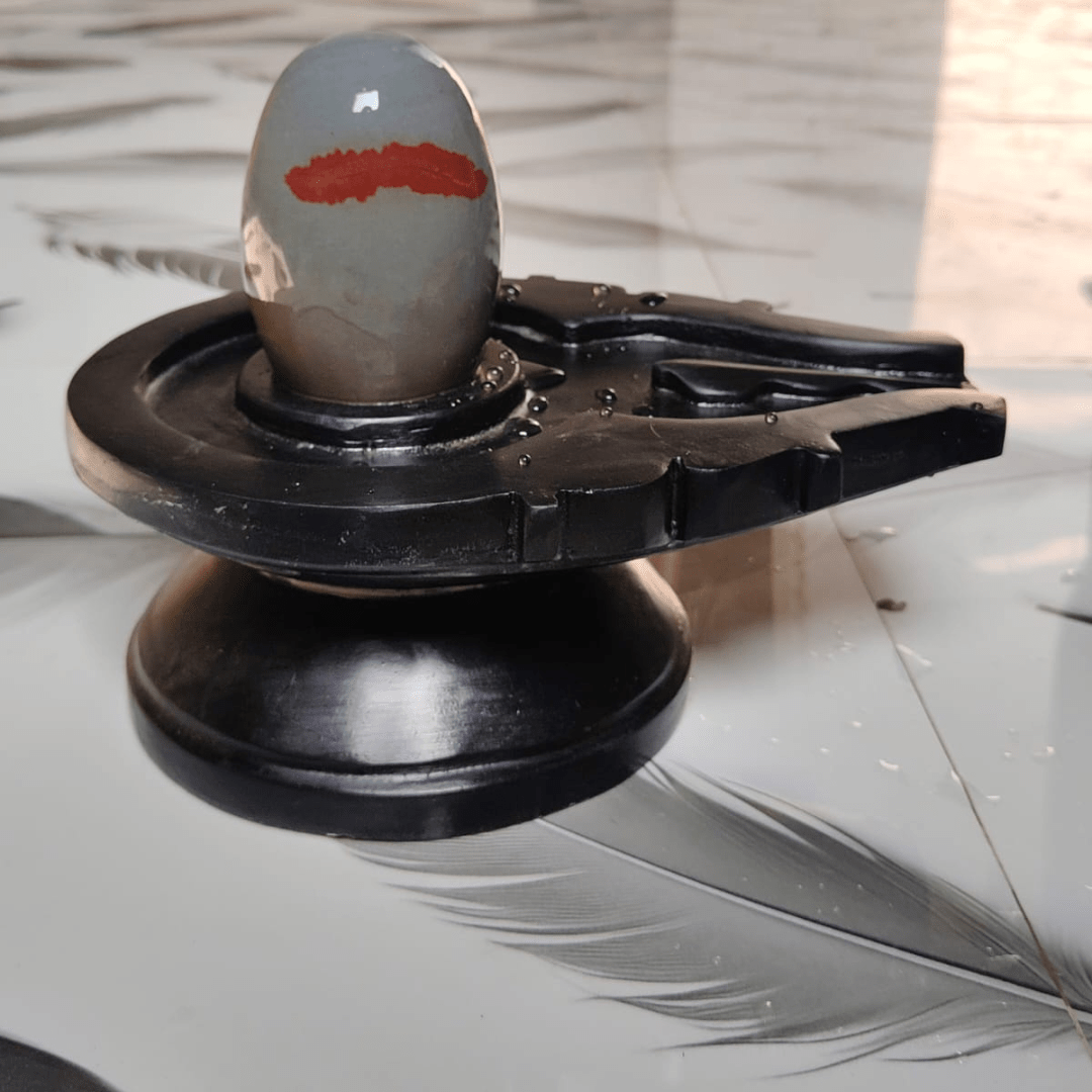 5” Grey Narmadeshwar Shivling with Natural Red Tilak Pattern & 10” Premium Black Jaladhari Base
