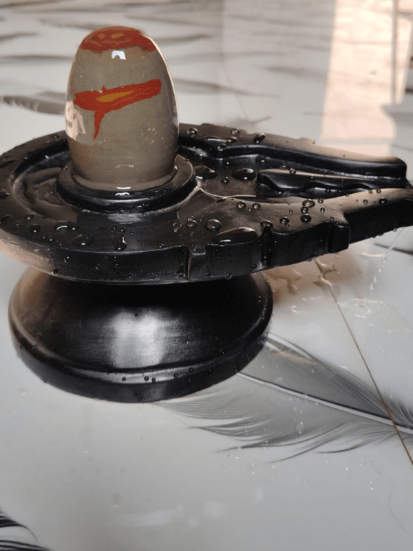 5” Sacred Grey Narmadeshwar Shivling with Natural Red Tilak Design & 10” Black Jaladhari Base