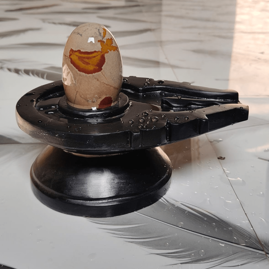 5” Designer Narmadeshwar Shivling with 10” Premium Black Jaladhari Base – Artistic Natural Pattern Finish