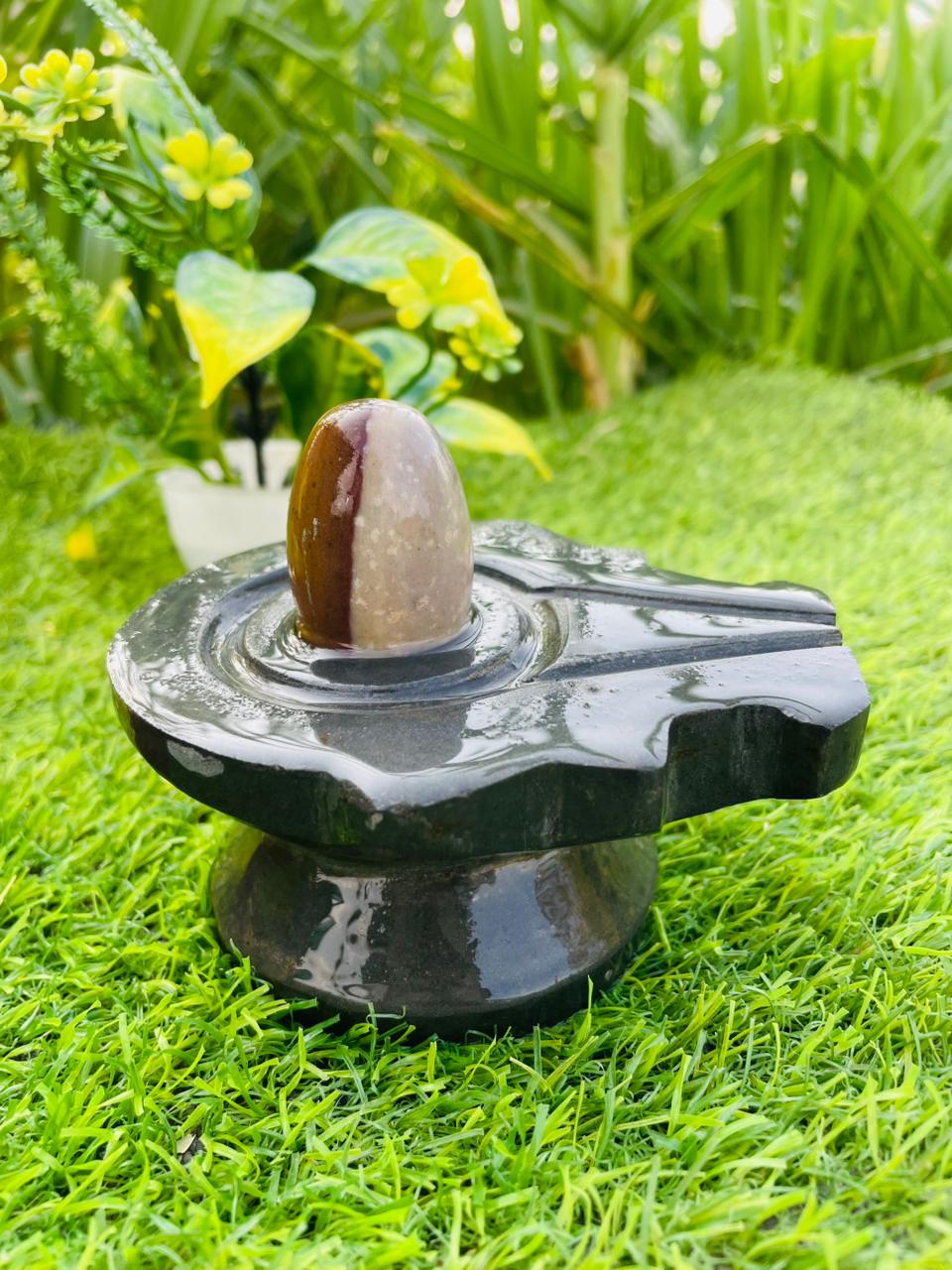 2 Inch Premium Black Narmadeshwar Shivling