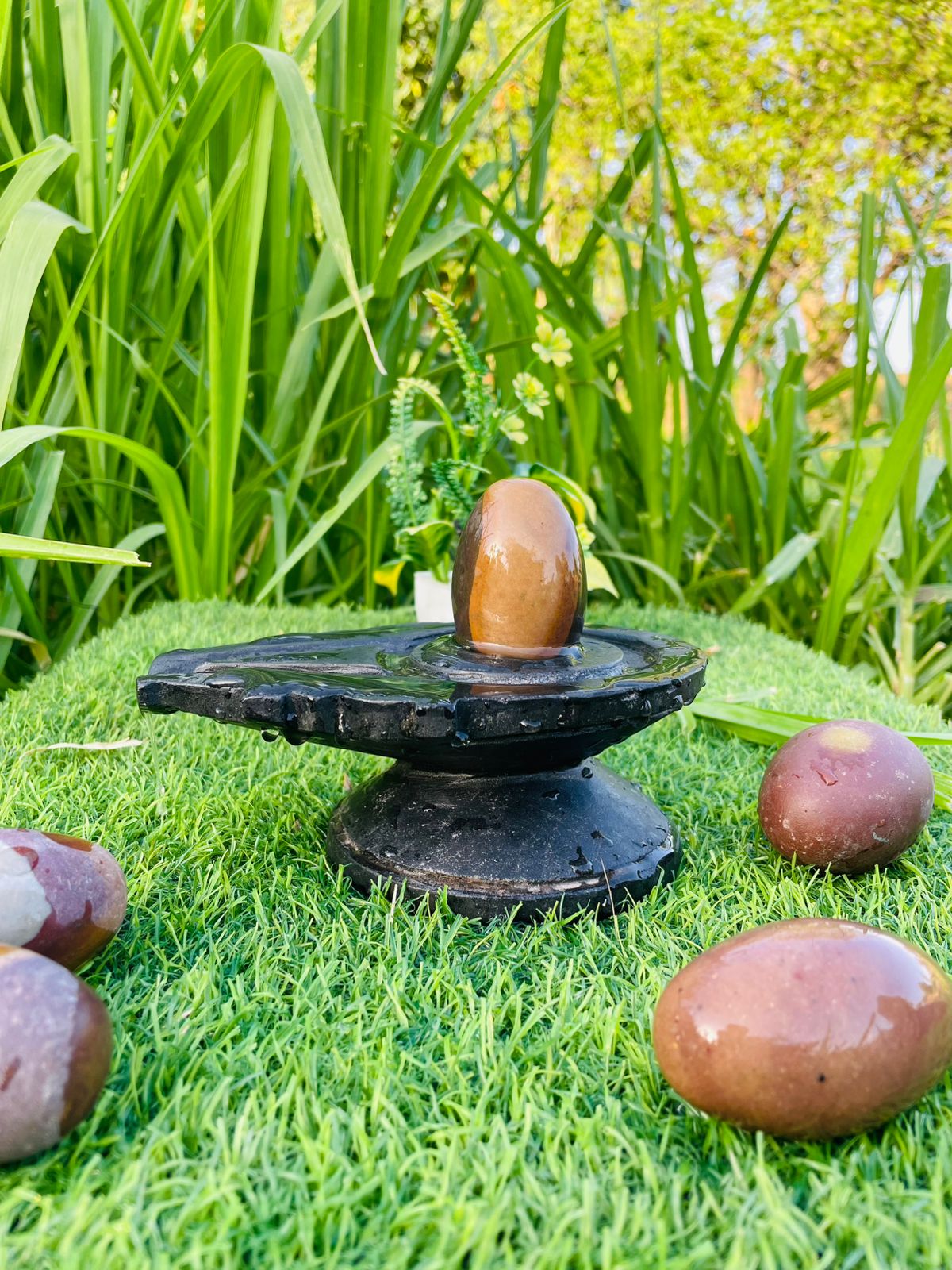 3 Inch Natural Narmadeshwar Shivling with 6 Inch Black Jaladhari